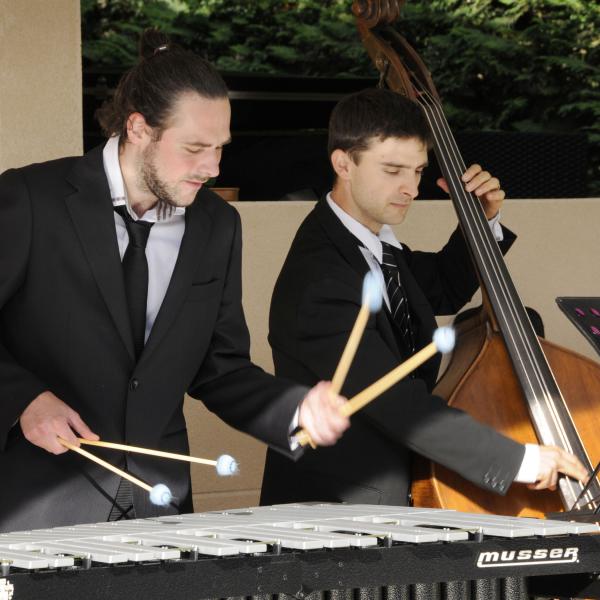 contrebasse et vibraphone www.jazzmariage.fr